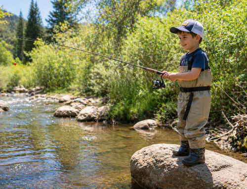 December Fly Fishing in Estes Park: Why Winter is the Most Underrated Season
